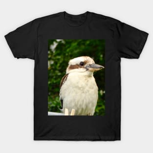 Kookaburra on the Line! T-Shirt